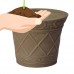 Arcadia Garden Scroll Grower Pot   